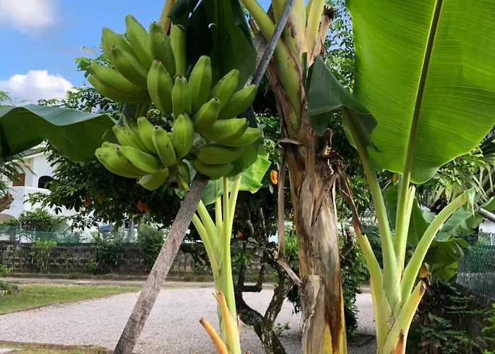 Flower Garden Self-catering Beau Vallon (Mahe)